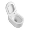 Унитаз подвесной Boheme Flow 969-SET-W, безободковый, крышка микролифт, цвет белый